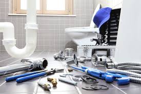 Best 24/7 Emergency Plumbing Services  in Edgerton, MN